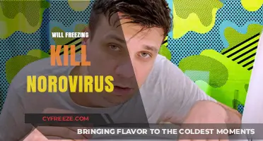 Can Freezing Temperatures Eliminate Norovirus: A Scientific Analysis