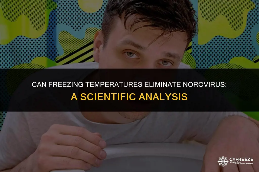 will freezing kill norovirus