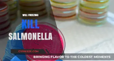 Chilling Truth: Can Freezing Temperatures Eliminate Salmonella?