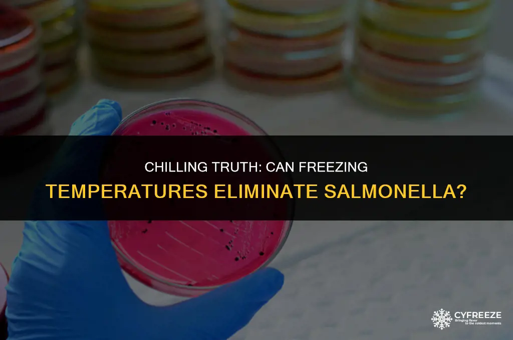 will freezing kill salmonella