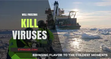 The Cold Truth: Can Freezing Temperatures Eliminate Viruses?