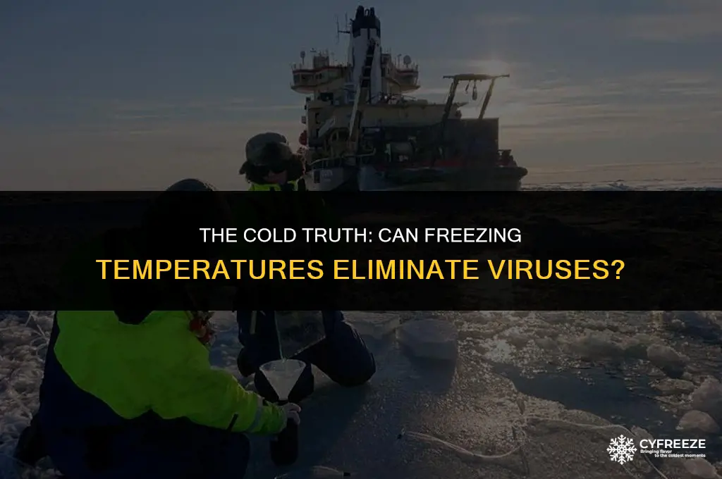 will freezing kill viruses