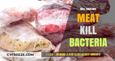 Does Freezing Meat Eliminate Bacteria: A Comprehensive Guide
