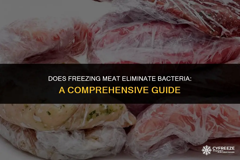 will freezing meat kill bacteria