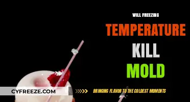 Chilling Truth: Can Freezing Temps Eliminate Mold for Good?