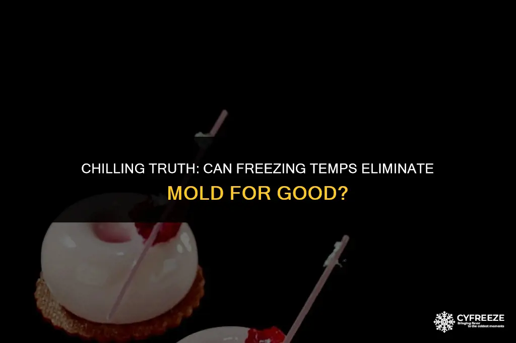 will freezing temperatures kill mold