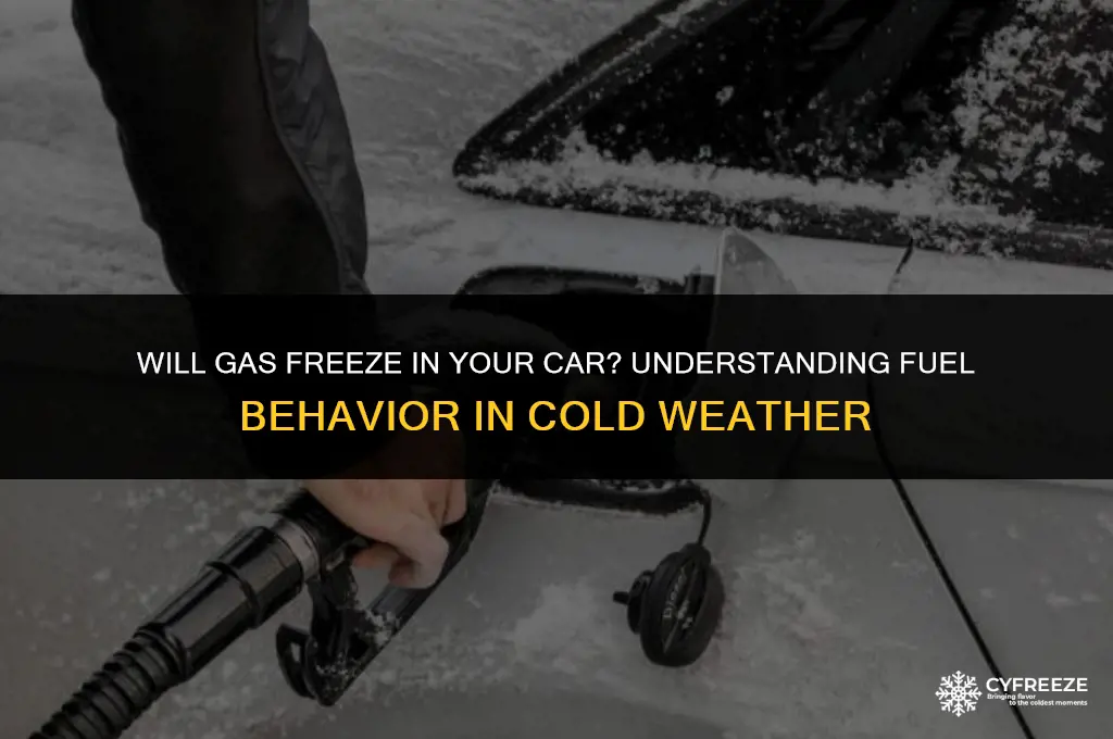will gas freeze in your car