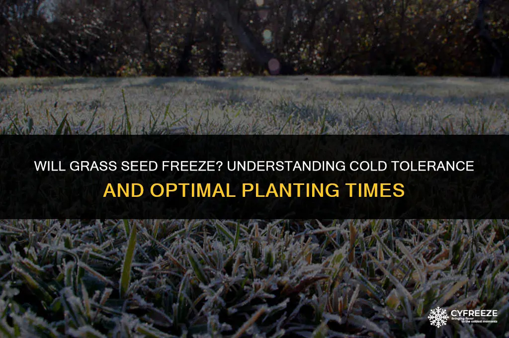 will grass seed freeze