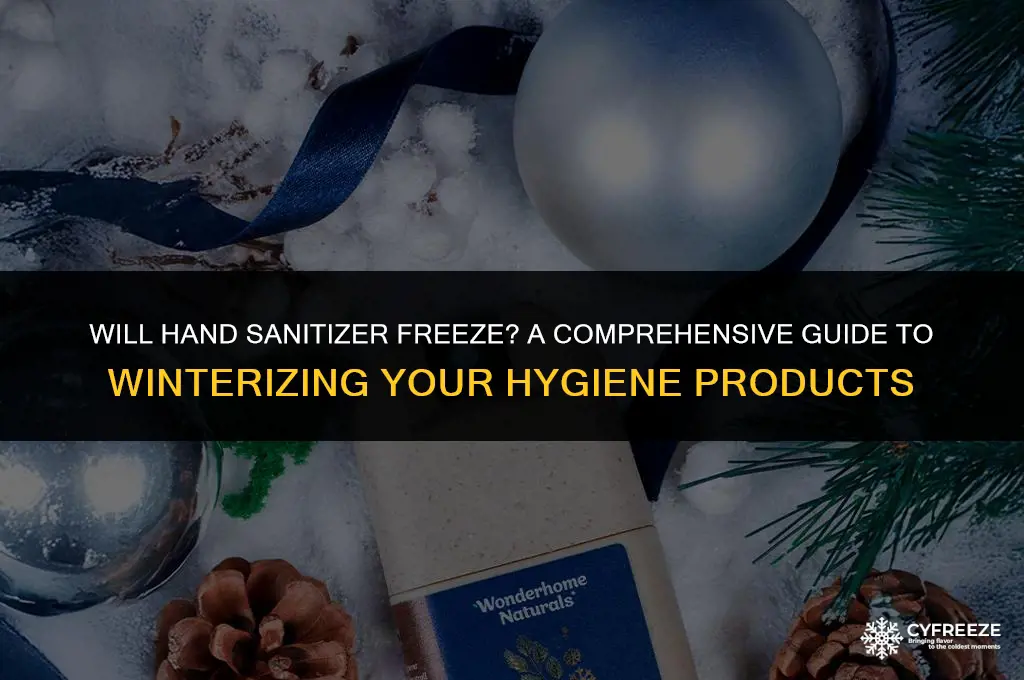 will hand sanitizer freeze