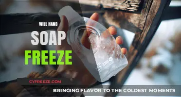 Will Hand Soap Freeze? The Surprising Truth Revealed
