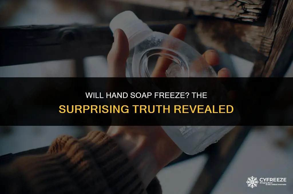 will hand soap freeze