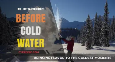 Chilling Truth: Hot Water's Surprising Path to Frozen Bliss