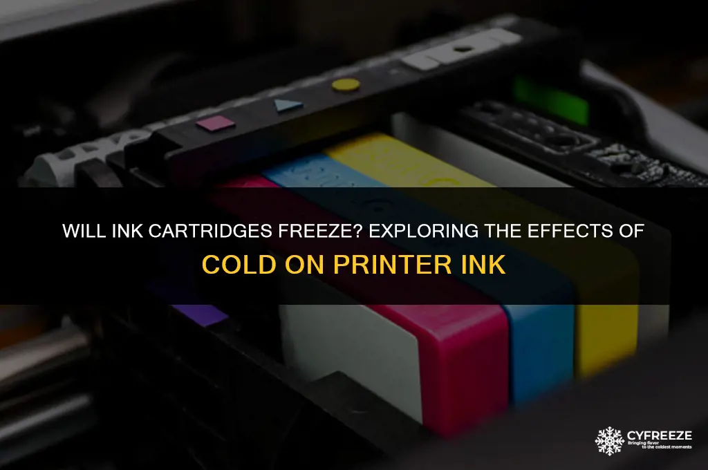 will ink cartridges freeze
