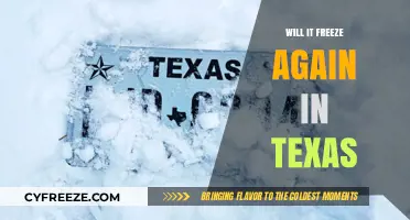 Will Texas Experience Another Freeze? Climate Experts Weigh In
