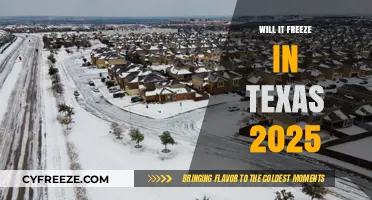 Texas Winter Forecast 2025: Will the Lone Star State Freeze?