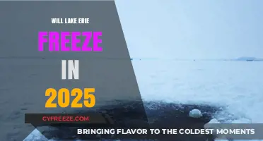 Predicting Lake Erie's Freeze: A Look Ahead to 2025