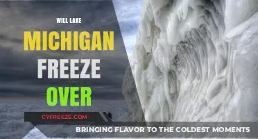 Will Lake Michigan Freeze Over? Exploring the Possibilities and Impacts