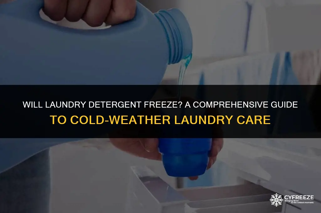 will laundry detergent freeze