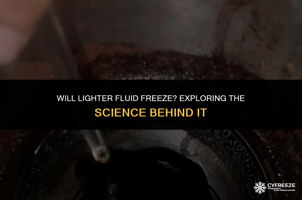 will lighter fluid freeze