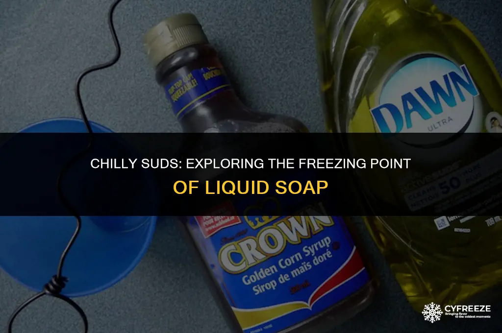 will liquid soap freeze