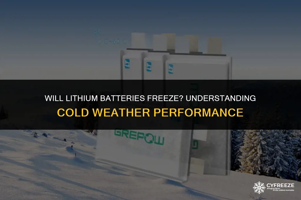 will lithium batteries freeze