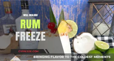 Chill Vibes: Exploring Whether Malibu Rum Can Freeze