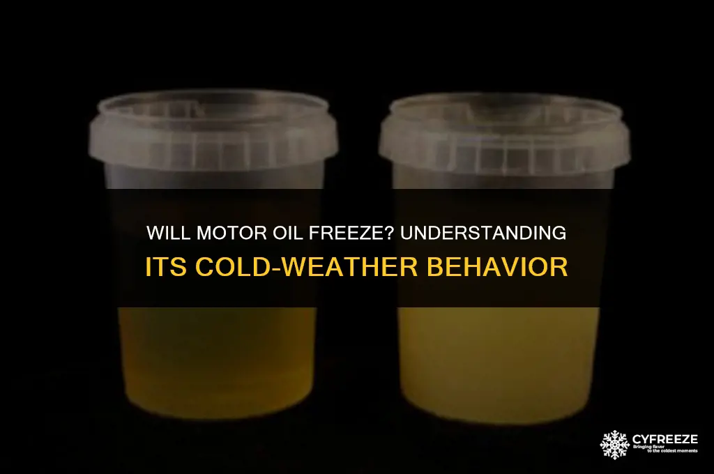 will motor oil freeze