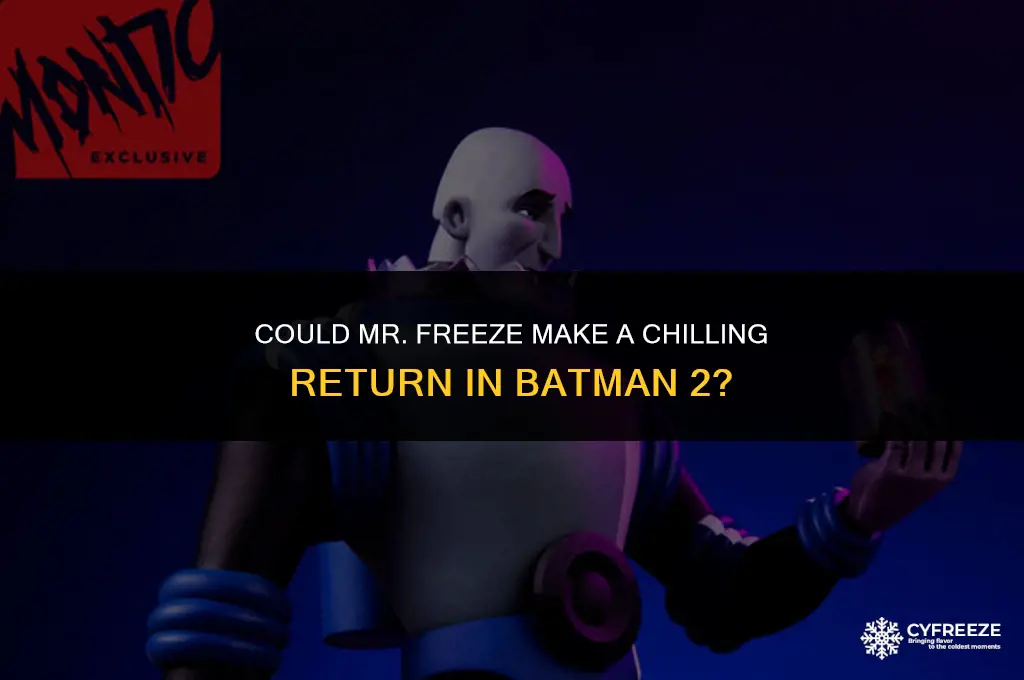 will mr freeze be in the batman 2