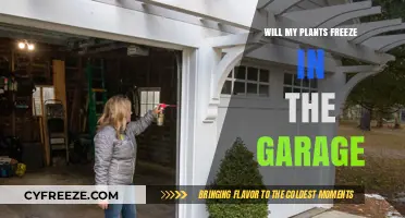 Protecting Your Plants from Garage Freezes: A Comprehensive Guide