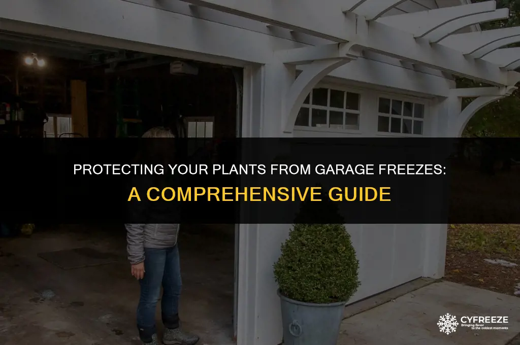 will my plants freeze in the garage