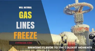 Will Natural Gas Lines Freeze? Understanding the Risks and Prevention