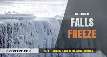 Will Niagara Falls Freeze? Exploring the Possibilities of Nature's Wonder