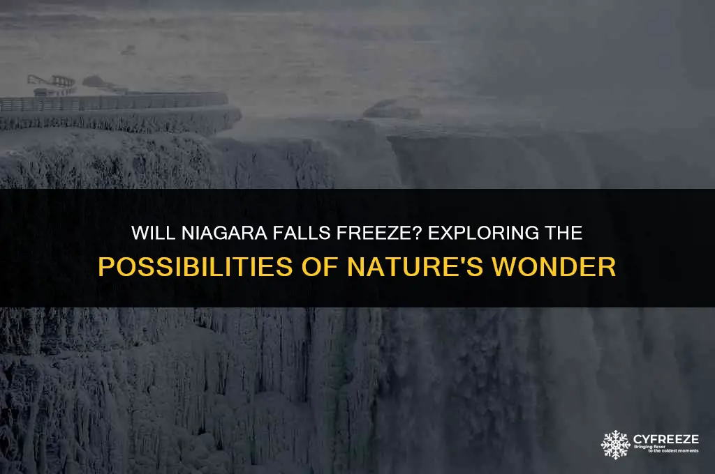will niagara falls freeze