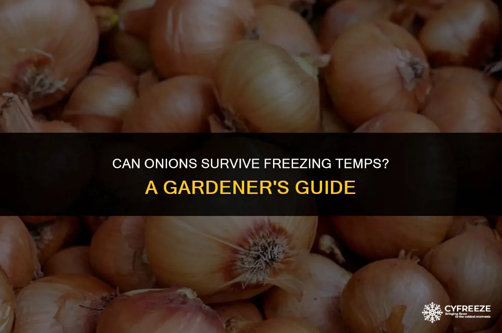 will onions survive a freeze