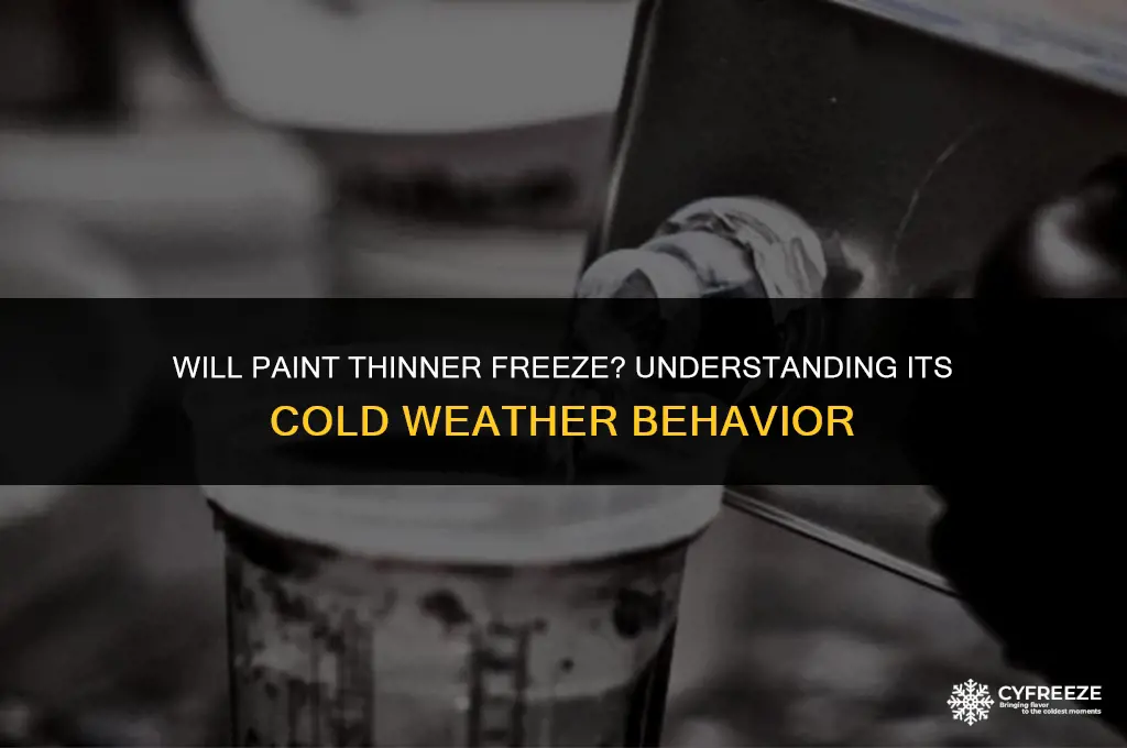 will paint thinner freeze