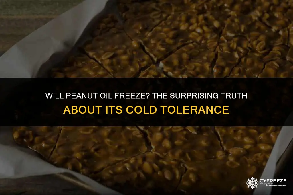 will peanut oil freeze