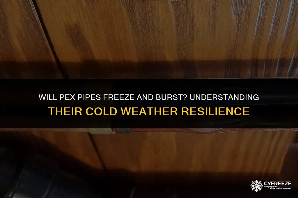 will pex freeze and burst