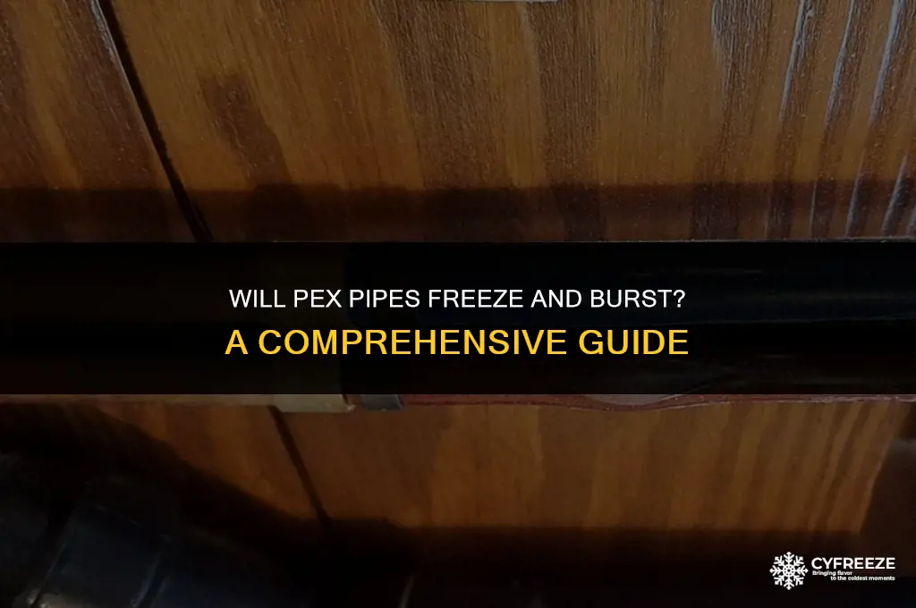 will pex pipe freeze and burst