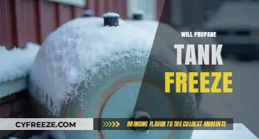 Will Your Propane Tank Freeze? Expert Insights to Keep You Warm