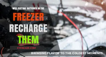 Myth Buster: Can Freezing Batteries Revive Their Charge?