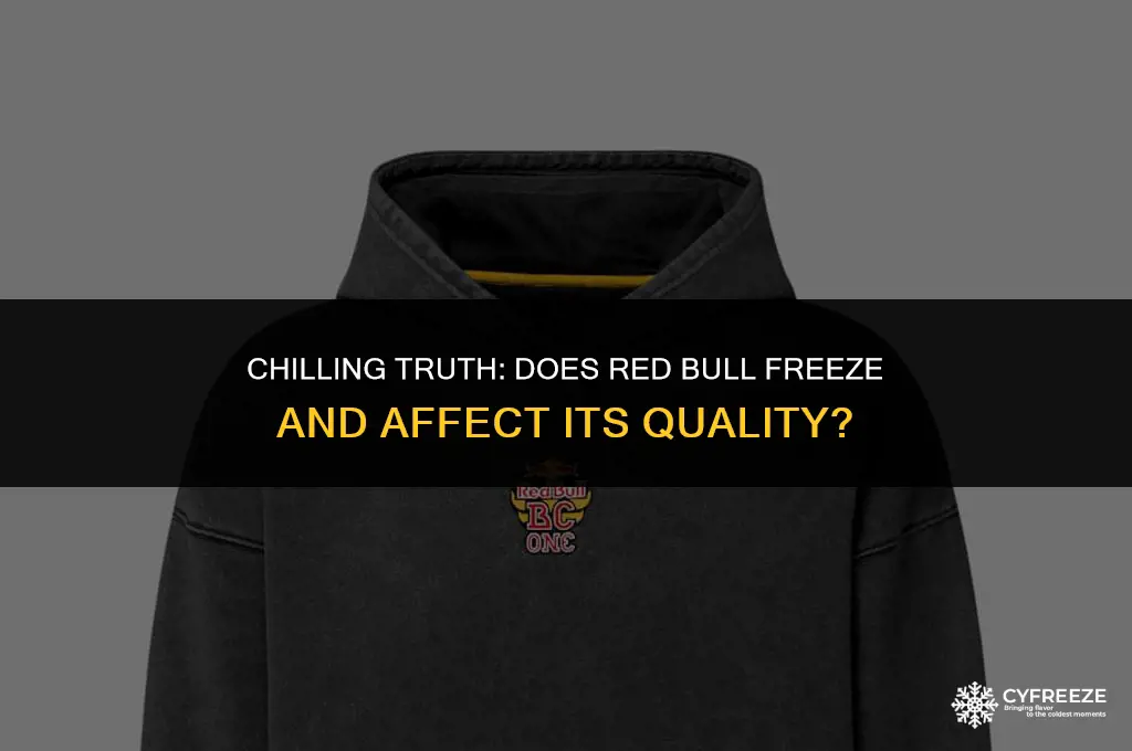 will red bull freeze