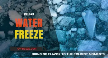 Chilling Truths: Will Saltwater Freeze and How It Affects Our Oceans?