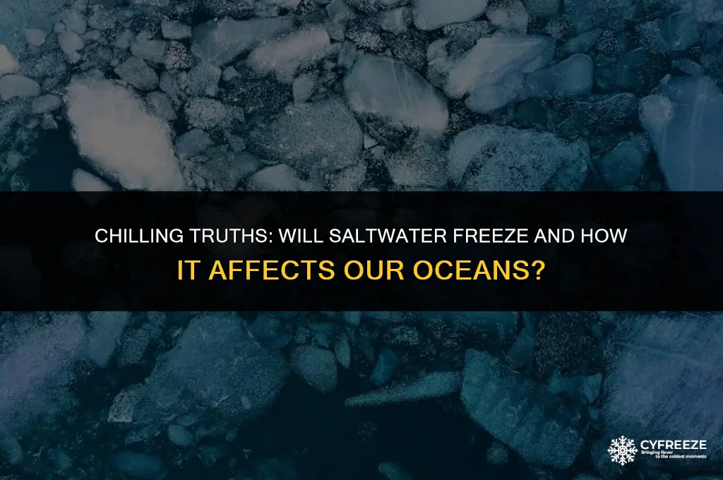 will salt water freeze