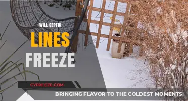 Will Septic Lines Freeze? Understanding Winter Risks and Prevention Tips