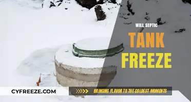 Will Your Septic Tank Freeze? Winter Maintenance Tips