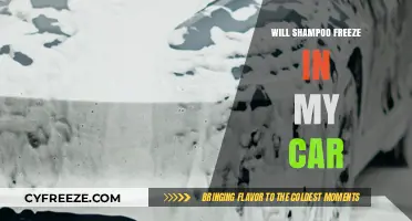 Will Shampoo Freeze in My Car? Understanding Cold Weather Car Care