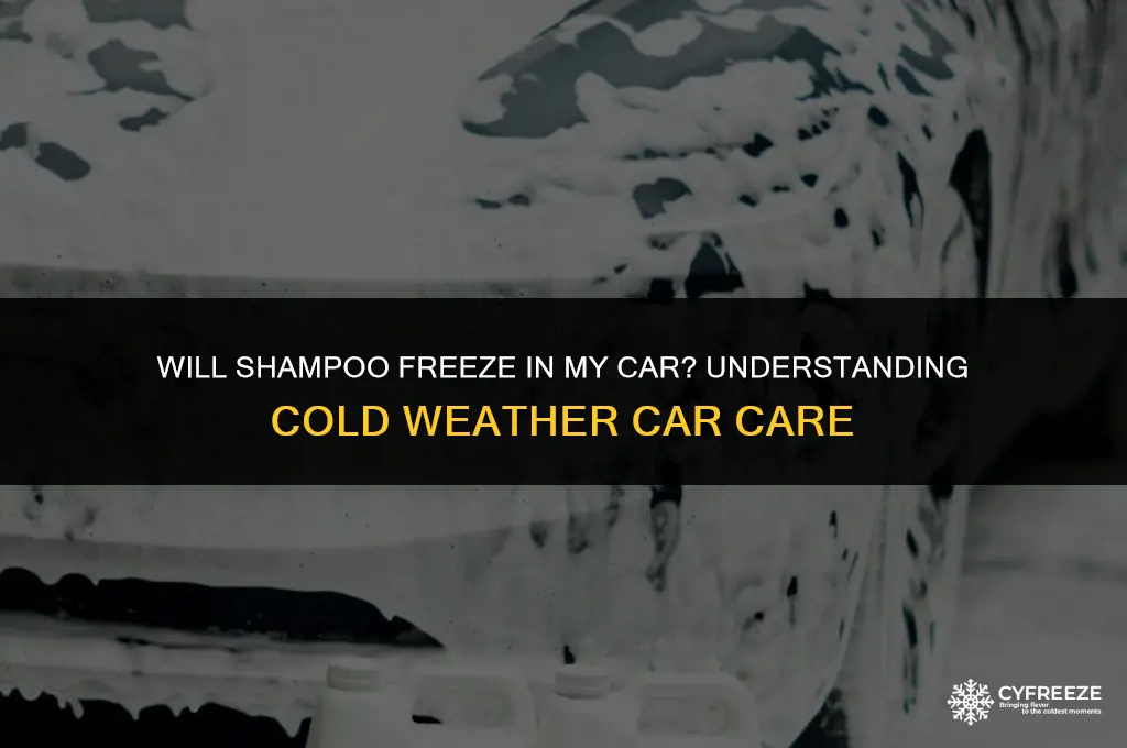 will shampoo freeze in my car