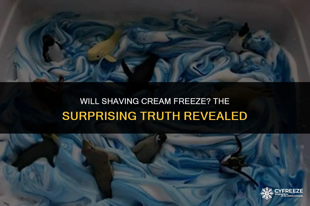 will shaving cream freeze