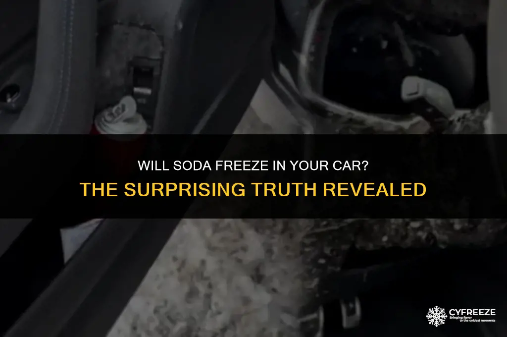 will soda freeze in car