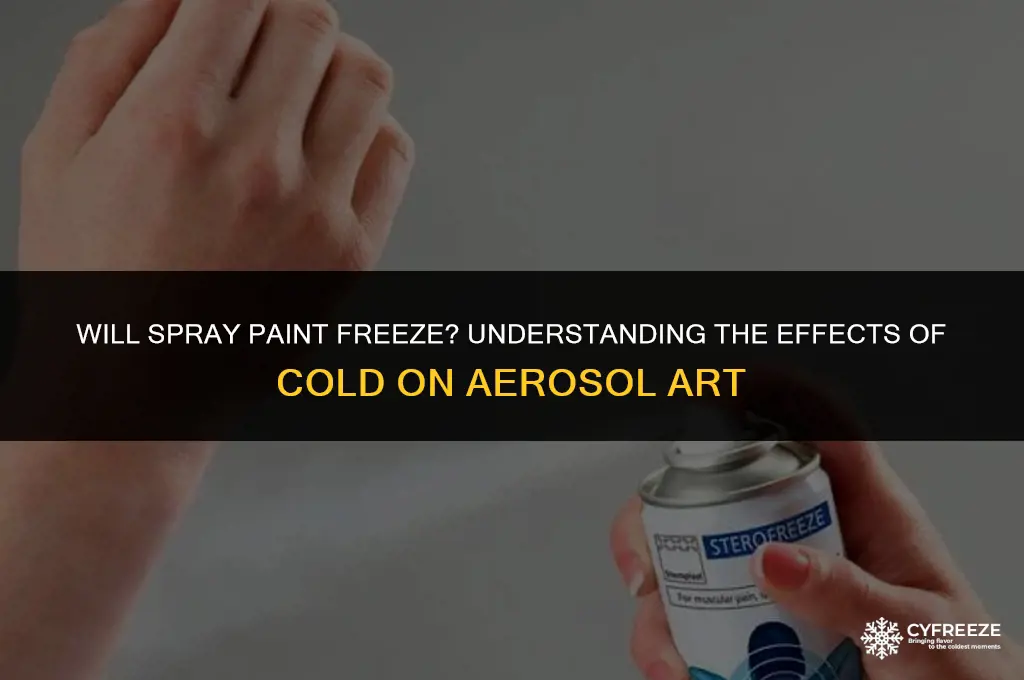 will spray paint freeze